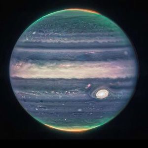 Meet your Posher, Hugh